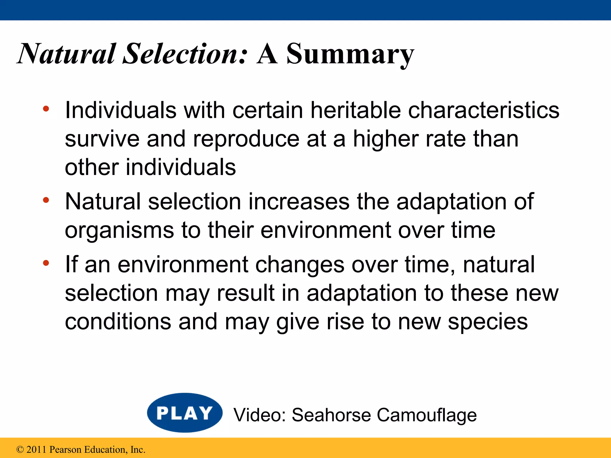 Natural Selection: A Summary
• Individuals with certain heritable characteristics
survive and reproduce at a higher rate than
other individuals
• Natural selection increases the adaptation of
organisms to their environment over time
• If an environment changes over time, natural
selection may result in adaptation to these new
conditions and may give rise to new species
© 2011 Pearson Education, Inc.
Video: Seahorse Camouflage
 