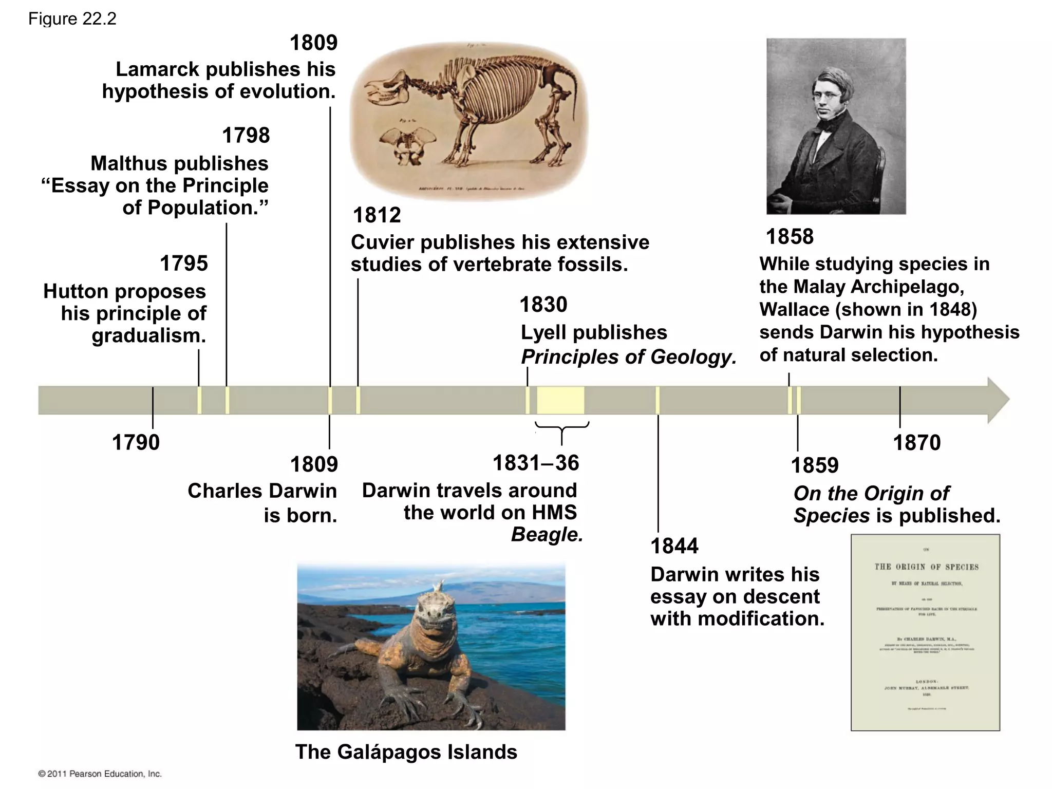 Figure 22.2
1809
1798
1812
1795
1830
1790
1809 1831−36
1844
1859
1870
Lamarck publishes his
hypothesis of evolution.
Malthus publishes
“Essay on the Principle
of Population.”
Hutton proposes
his principle of
gradualism.
Charles Darwin
is born.
Darwin travels around
the world on HMS
Beagle.
The Galápagos Islands
Darwin writes his
essay on descent
with modification.
On the Origin of
Species is published.
While studying species in
the Malay Archipelago,
Wallace (shown in 1848)
sends Darwin his hypothesis
of natural selection.
1858Cuvier publishes his extensive
studies of vertebrate fossils.
Lyell publishes
Principles of Geology.
 
