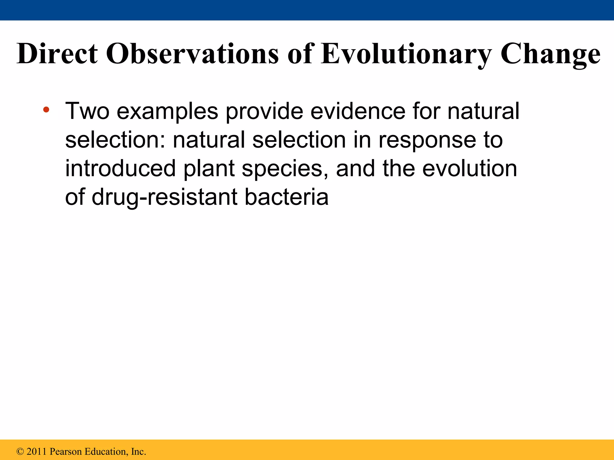 Direct Observations of Evolutionary Change
• Two examples provide evidence for natural
selection: natural selection in response to
introduced plant species, and the evolution
of drug-resistant bacteria
© 2011 Pearson Education, Inc.
 