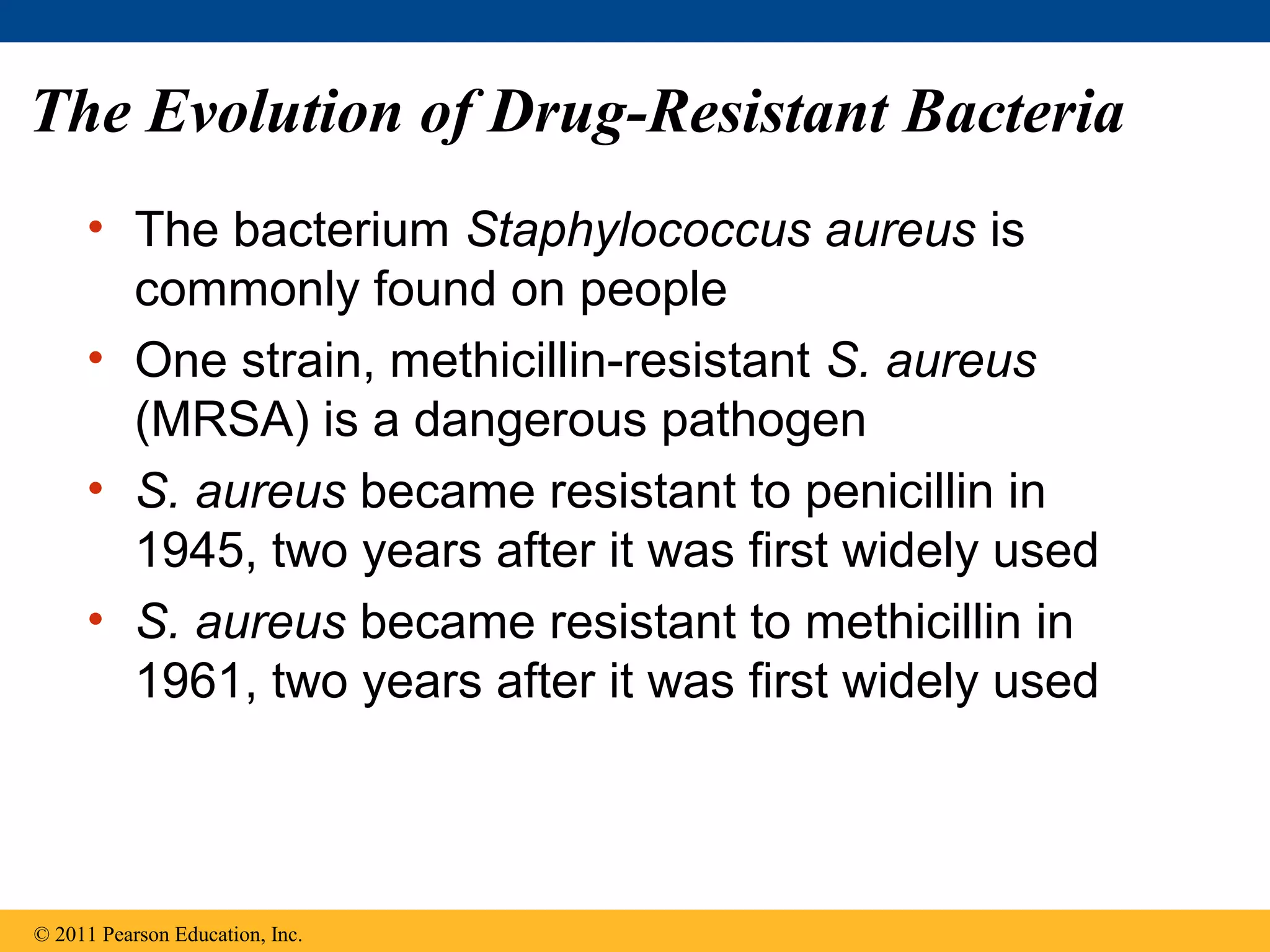 The Evolution of Drug-Resistant Bacteria
• The bacterium Staphylococcus aureus is
commonly found on people
• One strain, methicillin-resistant S. aureus
(MRSA) is a dangerous pathogen
• S. aureus became resistant to penicillin in
1945, two years after it was first widely used
• S. aureus became resistant to methicillin in
1961, two years after it was first widely used
© 2011 Pearson Education, Inc.
 