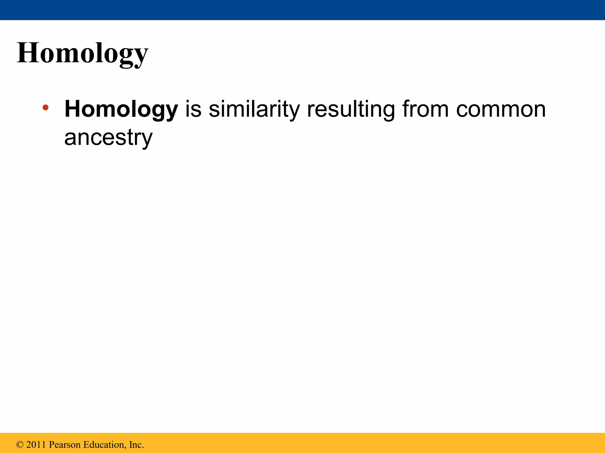 Homology
• Homology is similarity resulting from common
ancestry
© 2011 Pearson Education, Inc.
 