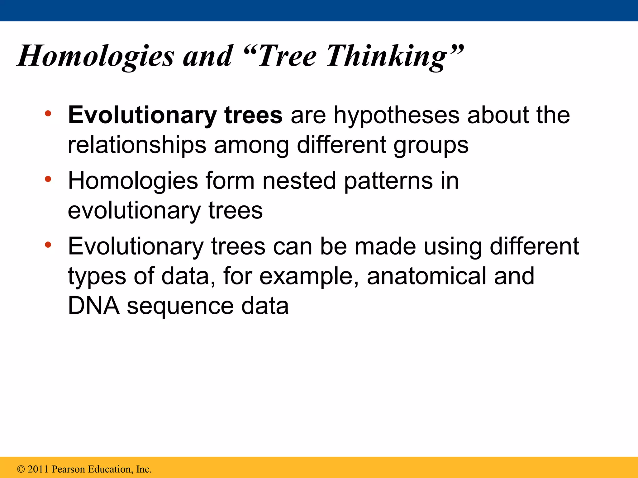 Homologies and “Tree Thinking”
• Evolutionary trees are hypotheses about the
relationships among different groups
• Homologies form nested patterns in
evolutionary trees
• Evolutionary trees can be made using different
types of data, for example, anatomical and
DNA sequence data
© 2011 Pearson Education, Inc.
 