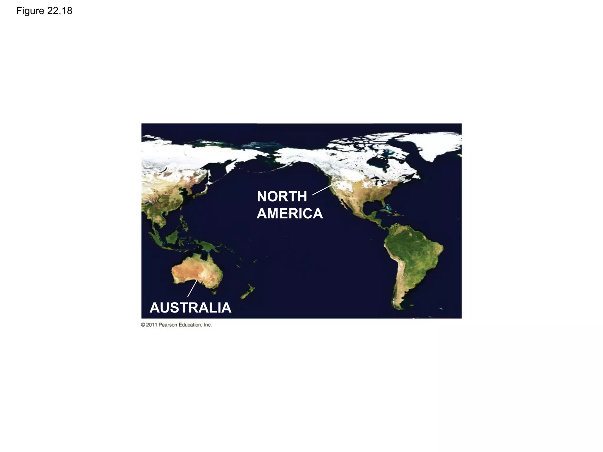 Figure 22.18
NORTH
AMERICA
AUSTRALIA
 