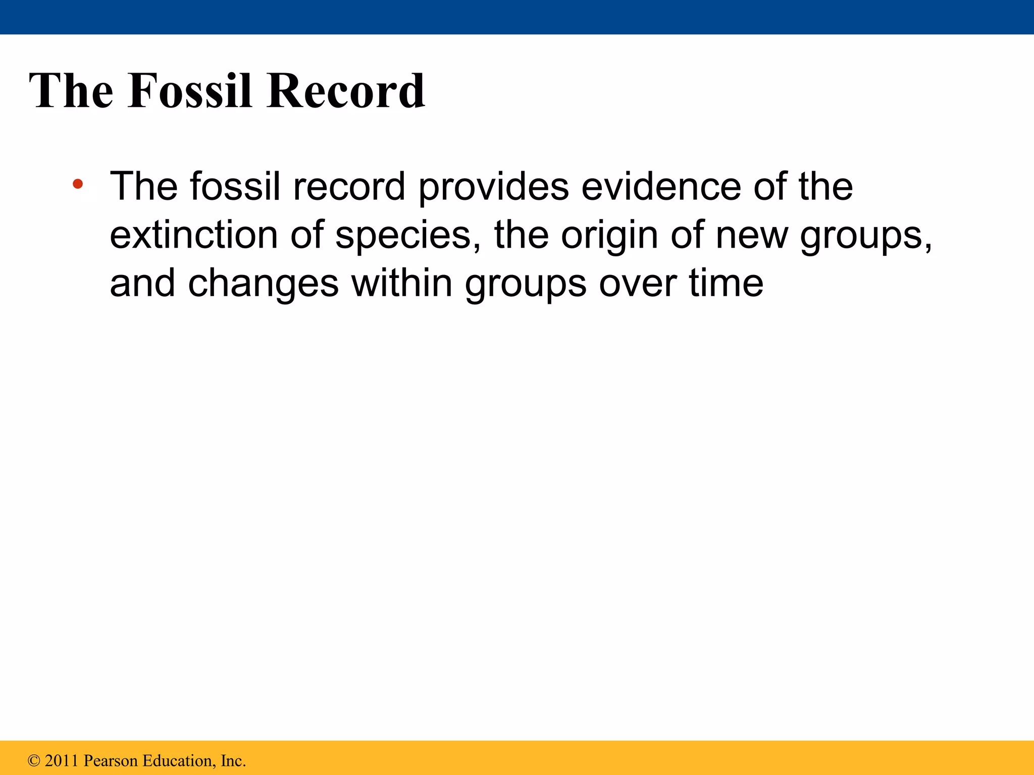 The Fossil Record
• The fossil record provides evidence of the
extinction of species, the origin of new groups,
and changes within groups over time
© 2011 Pearson Education, Inc.
 