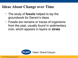 Ideas About Change over Time
• The study of fossils helped to lay the
groundwork for Darwin’s ideas
• Fossils are remains or traces of organisms
from the past, usually found in sedimentary
rock, which appears in layers or strata
© 2011 Pearson Education, Inc.
Video: Grand Canyon
 