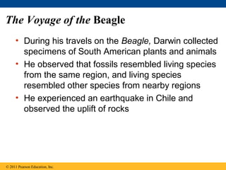 The Voyage of the Beagle
• During his travels on the Beagle, Darwin collected
specimens of South American plants and animals
• He observed that fossils resembled living species
from the same region, and living species
resembled other species from nearby regions
• He experienced an earthquake in Chile and
observed the uplift of rocks
© 2011 Pearson Education, Inc.
 