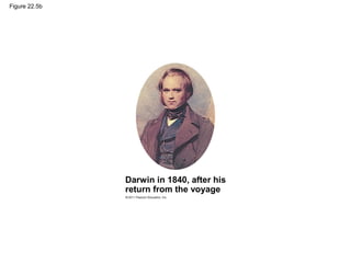 Figure 22.5b
Darwin in 1840, after his
return from the voyage
 