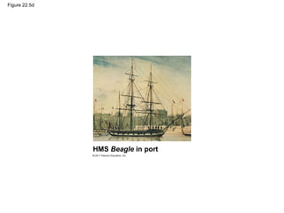 Figure 22.5d
HMS Beagle in port
 