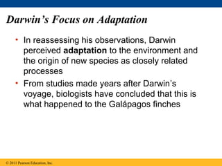 Darwin’s Focus on Adaptation
• In reassessing his observations, Darwin
perceived adaptation to the environment and
the origin of new species as closely related
processes
• From studies made years after Darwin’s
voyage, biologists have concluded that this is
what happened to the Galápagos finches
© 2011 Pearson Education, Inc.
 