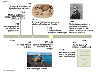Figure 22.2
1809
1798
1812
1795
1830
1790
1809 1831−36
1844
1859
1870
Lamarck publishes his
hypothesis of evolution.
Malthus publishes
“Essay on the Principle
of Population.”
Hutton proposes
his principle of
gradualism.
Charles Darwin
is born.
Darwin travels around
the world on HMS
Beagle.
The Galápagos Islands
Darwin writes his
essay on descent
with modification.
On the Origin of
Species is published.
While studying species in
the Malay Archipelago,
Wallace (shown in 1848)
sends Darwin his hypothesis
of natural selection.
1858Cuvier publishes his extensive
studies of vertebrate fossils.
Lyell publishes
Principles of Geology.
 