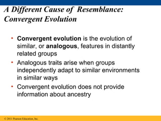 A Different Cause of Resemblance:
Convergent Evolution
• Convergent evolution is the evolution of
similar, or analogous, features in distantly
related groups
• Analogous traits arise when groups
independently adapt to similar environments
in similar ways
• Convergent evolution does not provide
information about ancestry
© 2011 Pearson Education, Inc.
 
