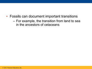• Fossils can document important transitions
– For example, the transition from land to sea
in the ancestors of cetaceans
© 2011 Pearson Education, Inc.
 