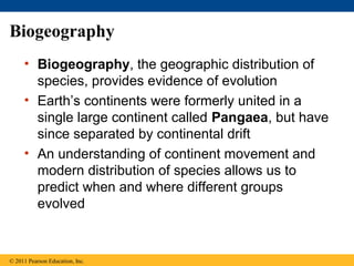 Biogeography
• Biogeography, the geographic distribution of
species, provides evidence of evolution
• Earth’s continents were formerly united in a
single large continent called Pangaea, but have
since separated by continental drift
• An understanding of continent movement and
modern distribution of species allows us to
predict when and where different groups
evolved
© 2011 Pearson Education, Inc.
 