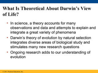 What Is Theoretical About Darwin’s View
of Life?
• In science, a theory accounts for many
observations and data and attempts to explain and
integrate a great variety of phenomena
• Darwin’s theory of evolution by natural selection
integrates diverse areas of biological study and
stimulates many new research questions
• Ongoing research adds to our understanding of
evolution
© 2011 Pearson Education, Inc.
 
