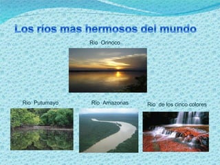 Rio  Orinoco Rio  Putumayo  Rio  Amazonas Rio  de los cinco colores 