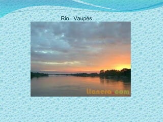 Rio  Vaupés 