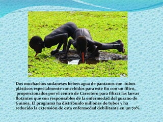 Dos muchachos sudaneses beben agua de pantanos con  tubos plásticos especialmente concebidos para este fin con un filtro,  proporcionados por el centro de Carretero para filtrar las larvas flotantes que son responsables de la enfermedad del gusano de Guinea. El programa ha distribuido millones de tubos y ha reducido la extensión de esta enfermedad debilitante en un 70%.  