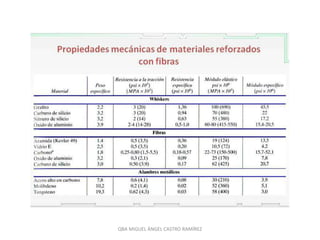 QBA MIGUEL ÁNGEL CASTRO RAMÍREZ