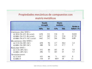 QBA MIGUEL ÁNGEL CASTRO RAMÍREZ