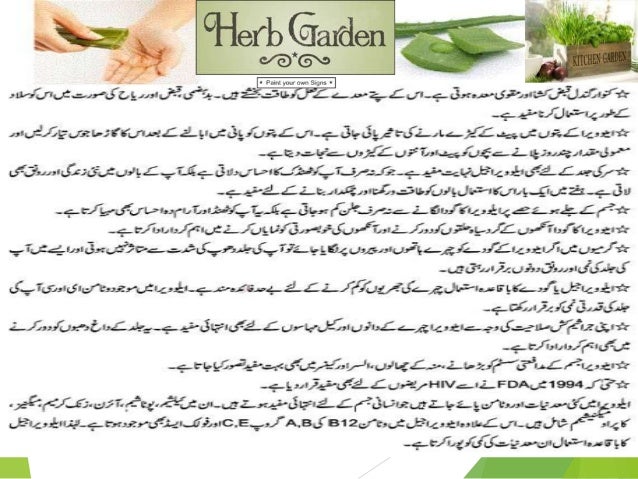 22 medicinal plants , 0ld kitchen By Allah Dad Khan