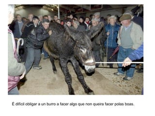É difícil obligar a un burro a facer algo que non queira facer polas boas.
 