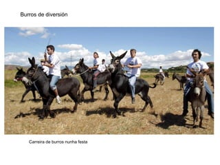 Burros de diversión
Carreira de burros nunha festa
 