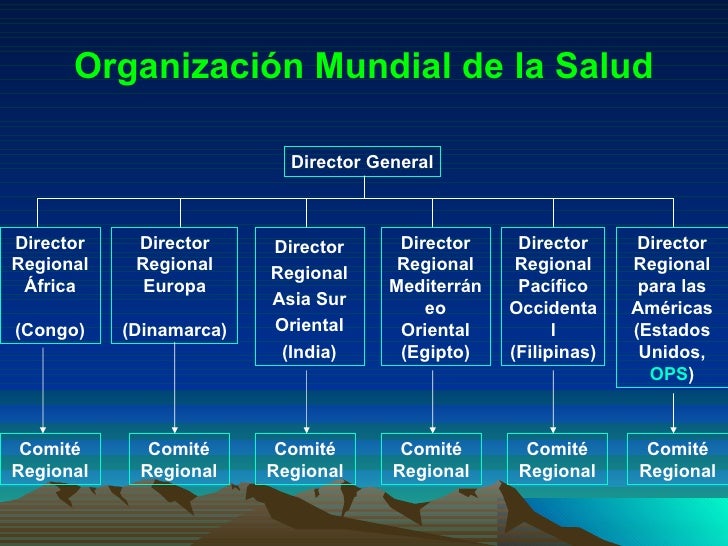 2 2 OrganizacióN Mundial De Salud