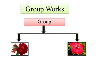 Group Works
Group
 