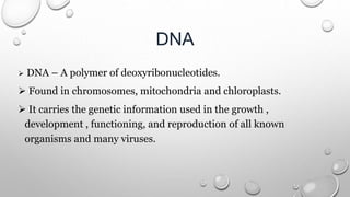 DNA
 DNA – A polymer of deoxyribonucleotides.
 Found in chromosomes, mitochondria and chloroplasts.
 It carries the genetic information used in the growth ,
development , functioning, and reproduction of all known
organisms and many viruses.
 