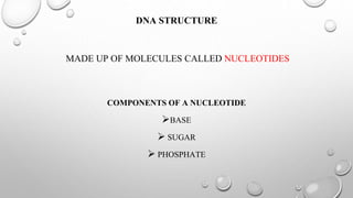DNA STRUCTURE
MADE UP OF MOLECULES CALLED NUCLEOTIDES
COMPONENTS OF A NUCLEOTIDE
BASE
 SUGAR
 PHOSPHATE
 