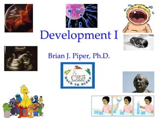 Development I
 Brian J. Piper, Ph.D.




                         1
 