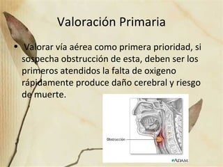 Valoración Primaria
• Valorar vía aérea como primera prioridad, si
sospecha obstrucción de esta, deben ser los
primeros atendidos la falta de oxigeno
rápidamente produce daño cerebral y riesgo
de muerte.
 