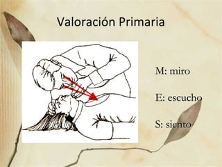 Valoración Primaria
M: miroM: miro
E: escuchoE: escucho
S: sientoS: siento
 