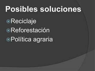 Posibles soluciones
Reciclaje
Reforestación
Política agraria
 