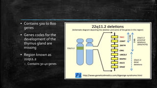 ▪ Contains 500 to 800
genes
▪ Genes codes for the
development of the
thymus gland are
missing
▪ Region known as
22q11.2
– Contains 30-40 genes
 