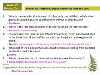 1. What is the name for the tiny web of tubes, only one cell thick, which allow
gasses dissolved in plasma to diffuse into and out of body tissues?
• Capillaries
1. Where is the first place blood flows to after reaching the left ventricle?
• Aorta (and coronary artery)
1. True or False? The Superior and Inferior Vena Cavae, which bring blood back
to the heart from all parts of the body (except lungs), carry deoxygenated
blood.
• True (the pulmonary artery brings oxygenated blood from the lungs to the heart)
1. What part of the blood contains dissolved nutrients picked up from digested
food in the small intestines?
1.Plasma
2. Why is the contraction of the ventricles able to move blood so far?
• Blood pressure (produced with the help of heart valves)
In your lab notebook, please answer as best you can:
Week 22
Review Quiz
Bonus:
Oxygenated blood from the lungs returns to the heart via what vessel?
- The Pulmonary Vein
 