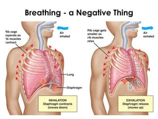 Breathing - a Negative Thing
 