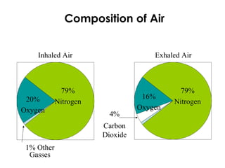 Composition of Air
Inhaled Air Exhaled Air
79%
Nitrogen20%
Oxygen
4%
Carbon
Dioxide
79%
Nitrogen
16%
Oxygen
1% Other
Gasses
 