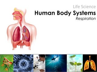 Life Science
Human Body Systems
Respiration
 