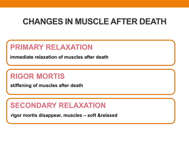 RIGOR MORTIS FORENSIC MEDICINE PRESENTATION | PPTX | Heart and ...