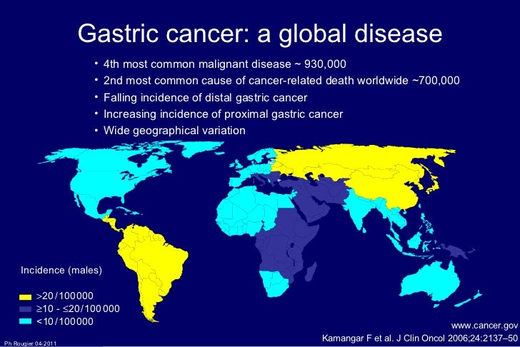 Image Result For Pancreatica Image Result For Pancreatica