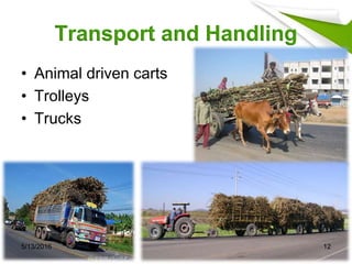 Transport and Handling
• Animal driven carts
• Trolleys
• Trucks
5/13/2016 12
 
