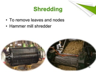 Shredding
• To remove leaves and nodes
• Hammer mill shredder
19
 