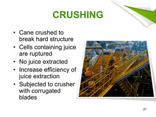 CRUSHING
• Cane crushed to
break hard structure
• Cells containing juice
are ruptured
• No juice extracted
• Increase efficiency of
juice extraction
• Subjected to crusher
with corrugated
blades
21
 