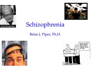 Schizophrenia
 Brian J. Piper, Ph.D.
 