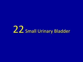 22Small Urinary Bladder
 