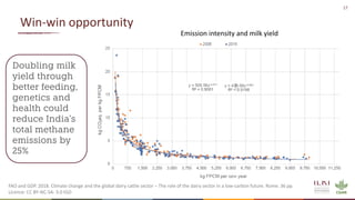 Insights from the transformation of dairy in India