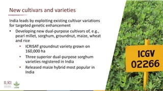 Insights from the transformation of dairy in India