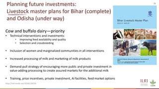 Insights from the transformation of dairy in India
