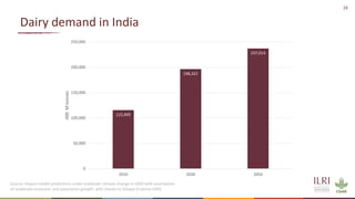 Insights from the transformation of dairy in India